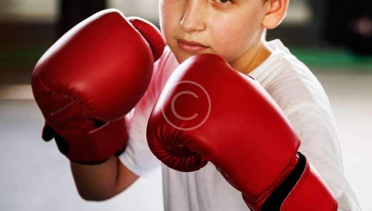 Arts martiaux et sports de combat – École Johwado
